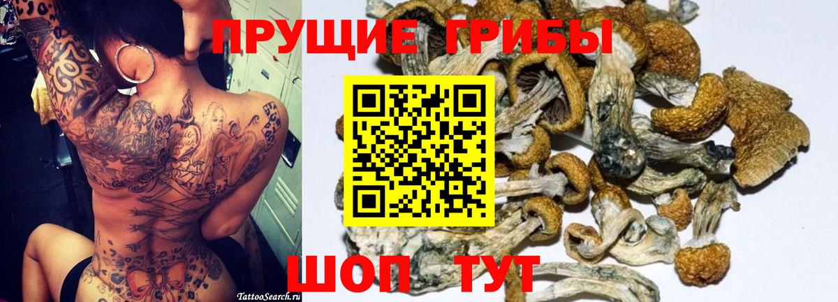Галлюциногенные грибы Cubensis Бугуруслан