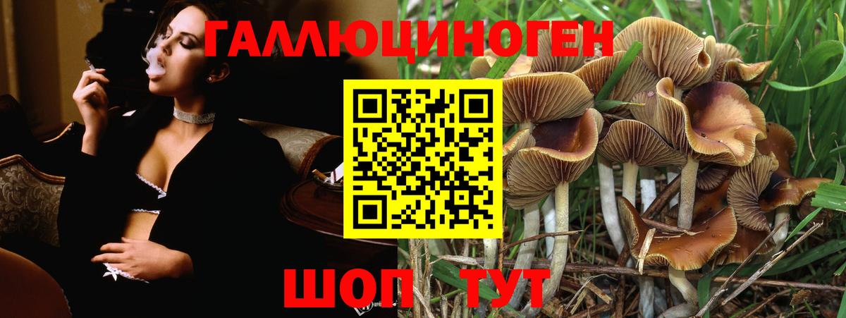 Бугуруслан  Галлюциногенные грибы Psilocybe  Вход с VPN 
